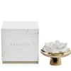 Clearance Zodax Apothecary Porcelain Diffuser - Passion