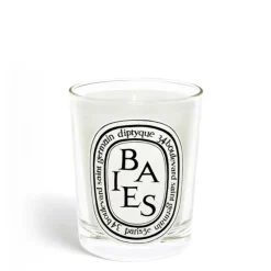 Outlet Diptyque Baies (Berries) Classic Candle