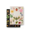 Discount RIFLE PAPER CO. Curio Pocket Notebook Set