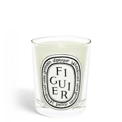 Online Diptyque Figuier (Fig Tree) Classic Candle