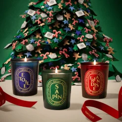 Fashion Diptyque Friandise Candle