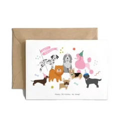 Sale Spaghetti & Meatballs Happy Birthday, my Dawg! Card