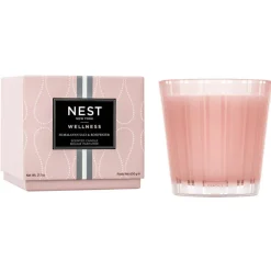 Online NEST FRAGRANCES Himalayan Salt & Rosewater Candle