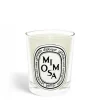 Outlet Diptyque Mimosa Classic Candle