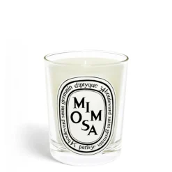 Outlet Diptyque Mimosa Classic Candle